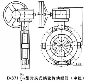 ߴD